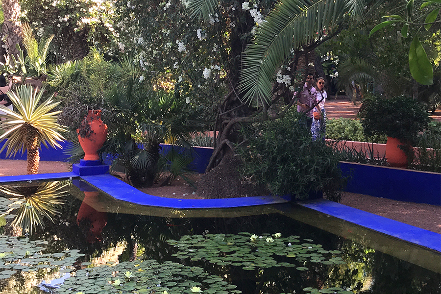 Majorelle Garden in Marrakesh, Morocco