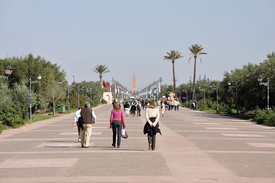 Main walkway in Menara Gardens in Marrakesh, Morocco